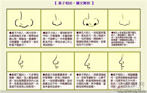 富貴鼻 面相|面相學之鼻型解析、全面解讀鼻子與命運